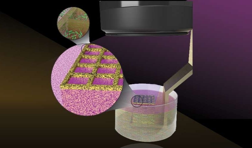 科學家開發出 3D 打印活微生物的新方法